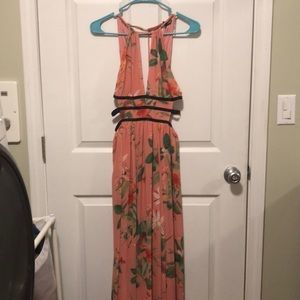 Express Pink Dress